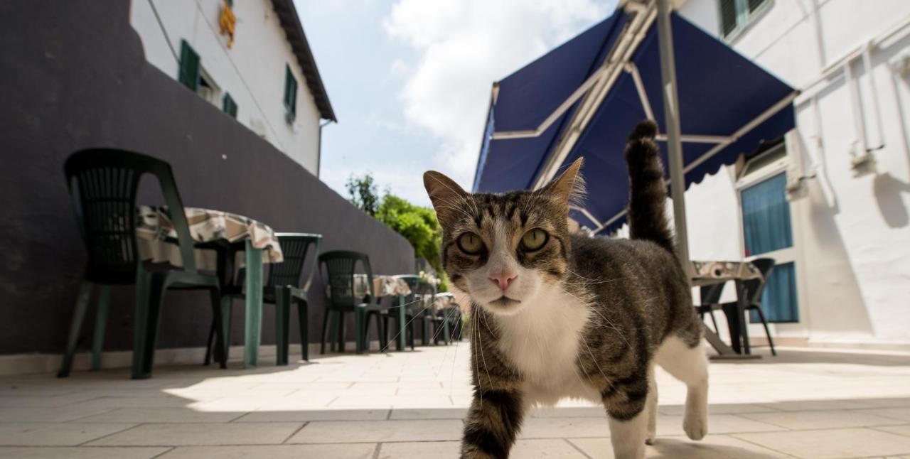 Hotel Terranova Pisa Kültér fotó